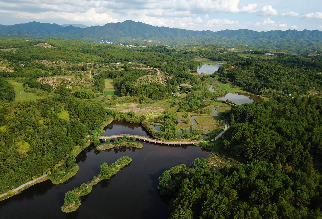 福建省龙岩市长汀县的长汀汀江国家湿地公园景色(2020年7月28日摄,无人机照片)。新华社记者 魏培全 摄