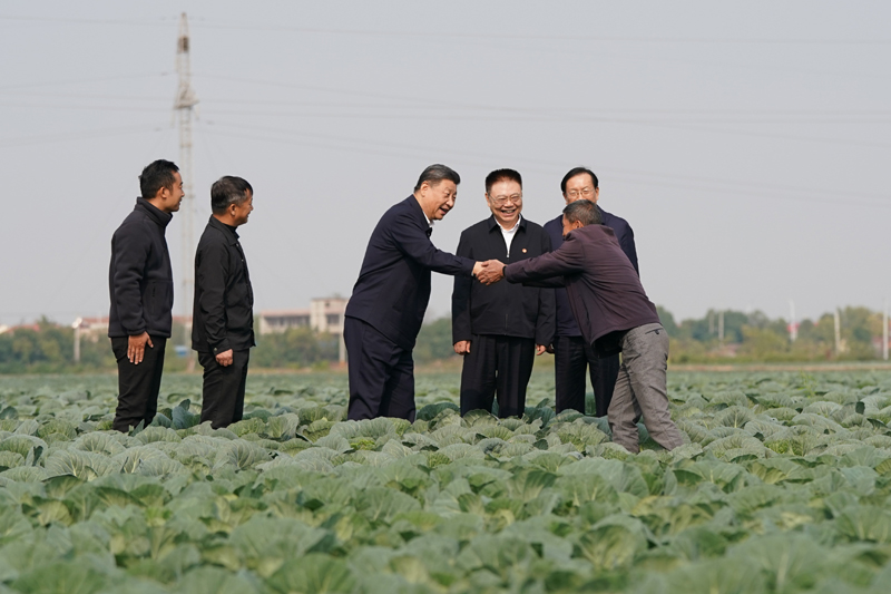 2024年11月5日,习近平在湖北省咸宁市嘉鱼县潘家湾镇十里蔬菜长廊考察时,同菜农亲切交流。