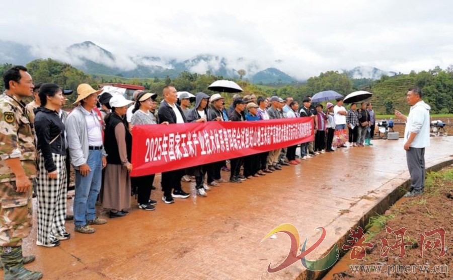 普洱市农业科学研究所：“科技课”送到田间地头