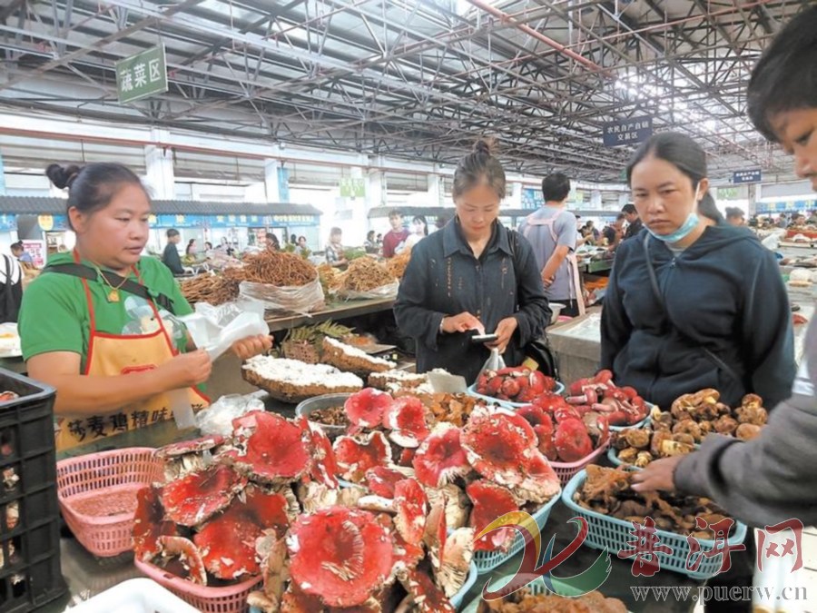 野生菌批量上市 消费者尝鲜热情高