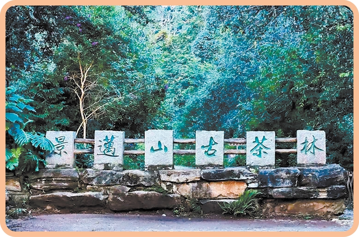 【普洱周末逃离计划】线路三：“绿三角”生态之旅