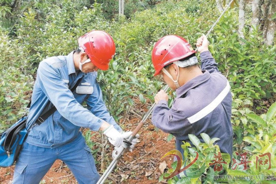 【夯实基础 赋能茶产业高质量发展】电力加持“点绿”景迈山