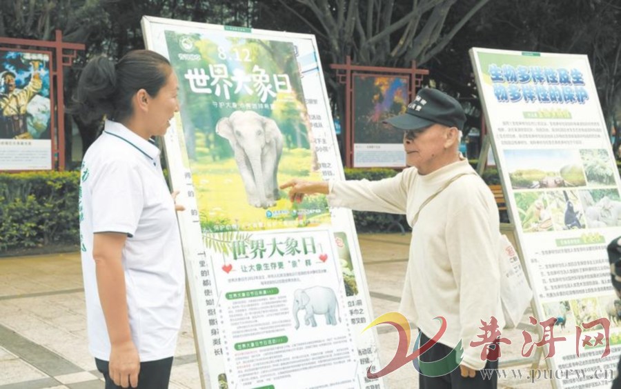 【守护生态家园 共绘斑斓画卷】普洱市举办“世界大象日”宣传活动