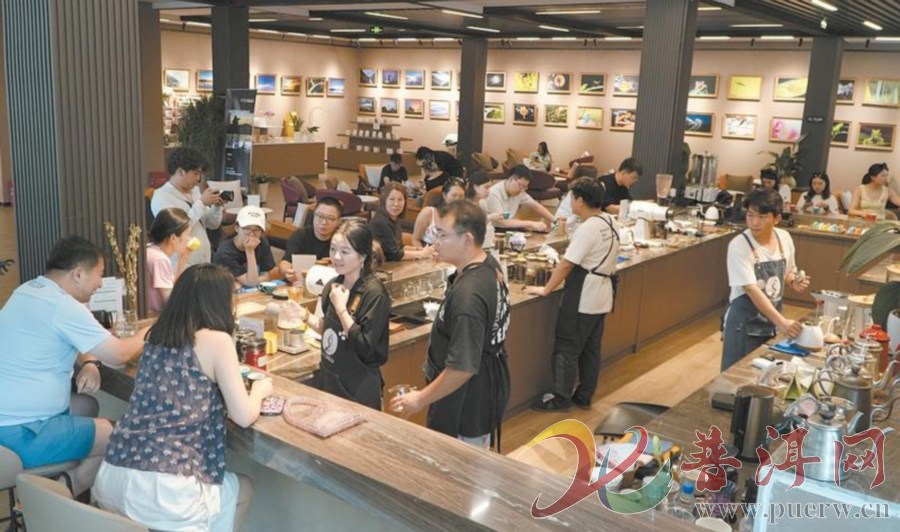 普洱市多措并举推进咖啡师人才队伍建设