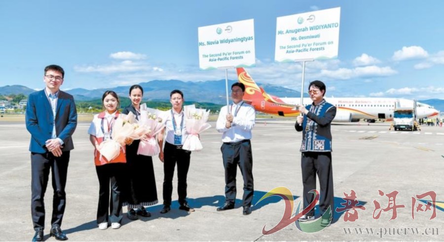 【志愿之城】百名志愿者服务第二届普洱亚太林业论坛