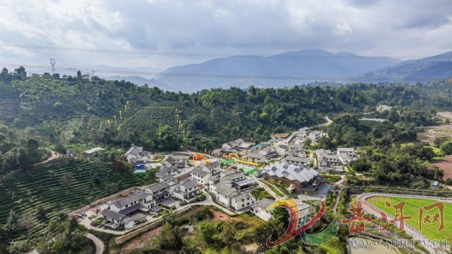 【决胜“十四五”迈上新台阶】咖啡飘香村庄美  南屏镇以“咖啡+”激活乡 ...