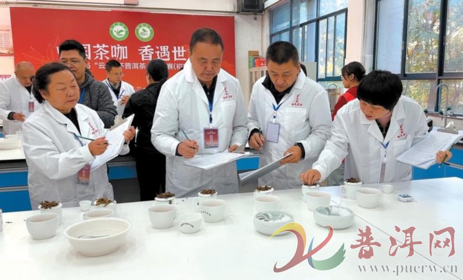 2025“云普”杯普洱茶斗茶大赛（初赛）决出晋级茶样