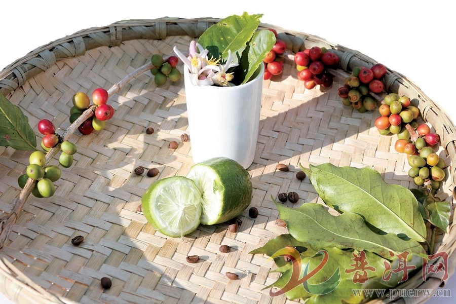 新变革 新科技 新业态 新场景 新青年  解锁普洱咖啡产业高质量发展密码