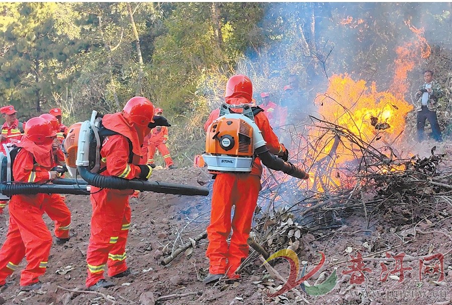 【以练备战保平安】墨江县：淬炼“森林卫士”筑防线