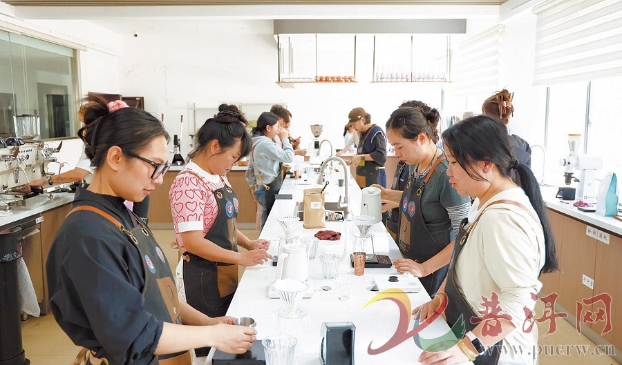 【“普洱咖啡师”人才品牌建设成效凸显】普洱咖啡师培训破圈 全国各地学员 ...