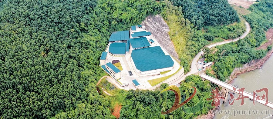 【向着春天再出发】从“单打独斗”到“抱团取暖”  江城县以党建引领橡胶 ...