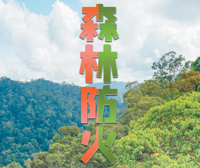 森林防火：火源不入山 森林才平安