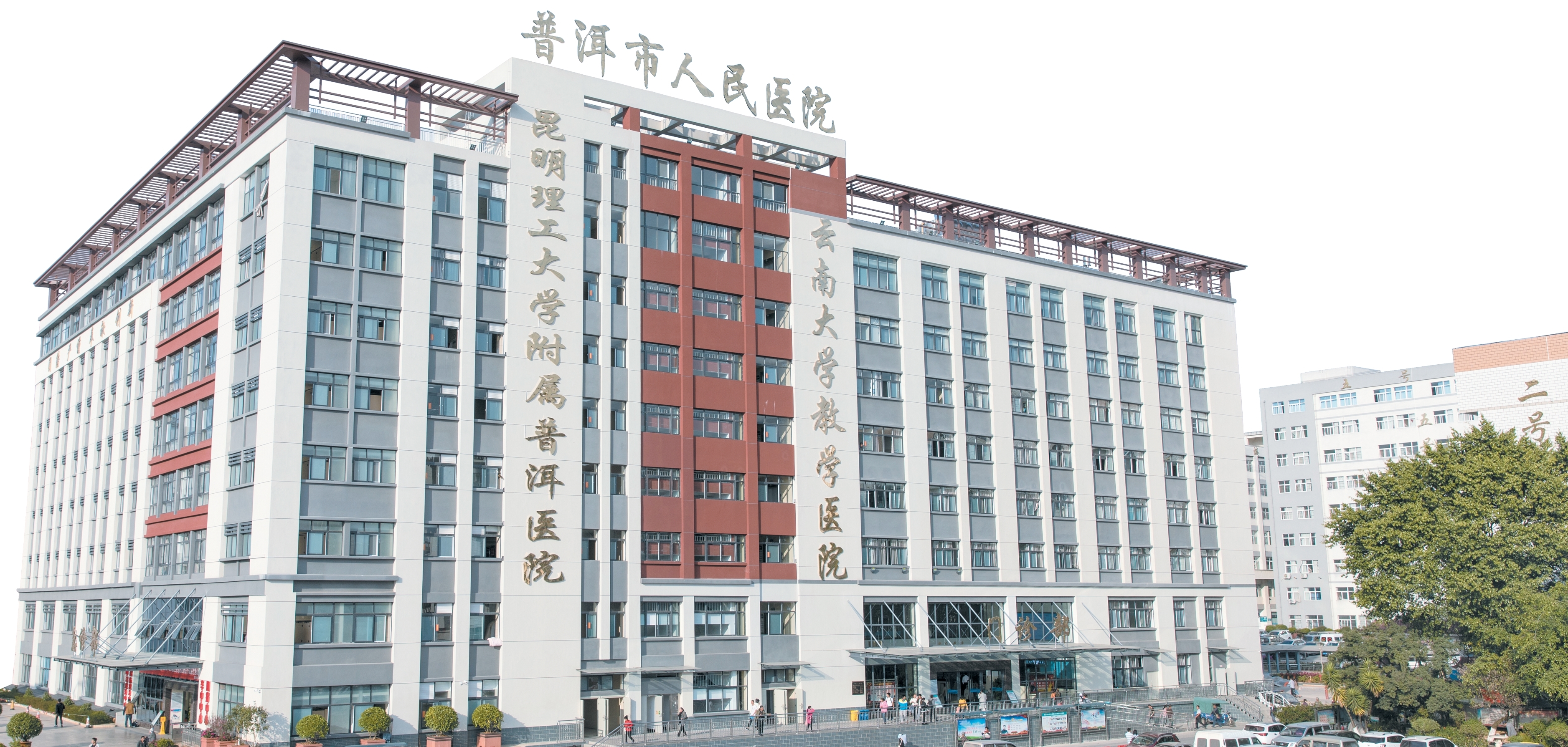 绘就健康新图景 践行医者新使命——普洱市人民医院“社会健康”理论本土化 ...