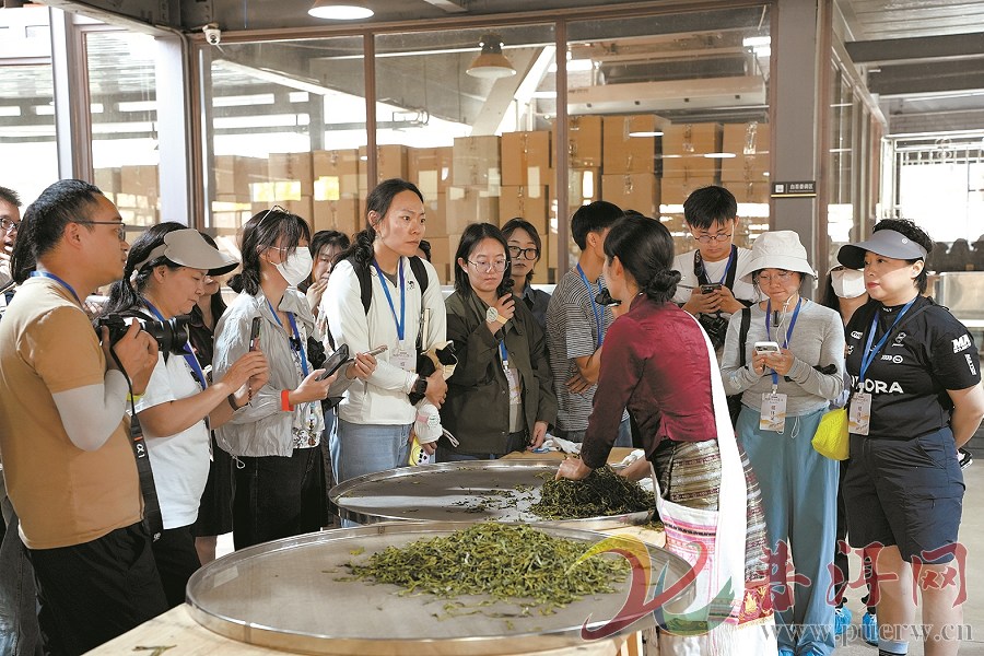 全国媒体采风团探寻景迈山文明密码
