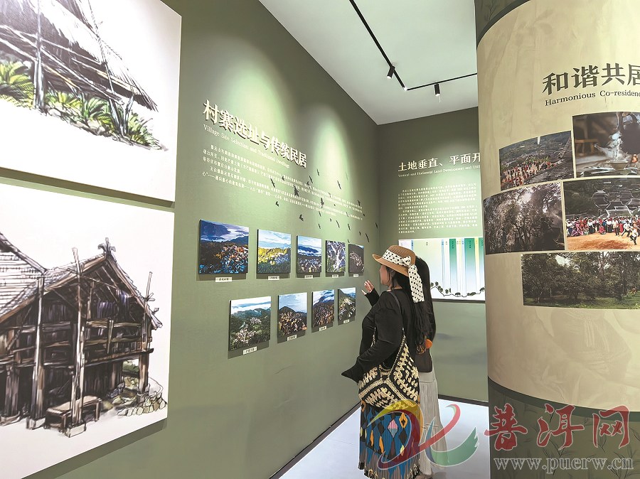 【中秋国庆 香遇普洱】以文塑旅 以艺惠民  普洱四馆联动庆国庆