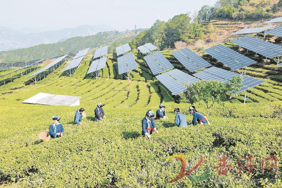 预计年发电量3.51亿千瓦时  墨江龙坝光伏发电项目全容量并网投运