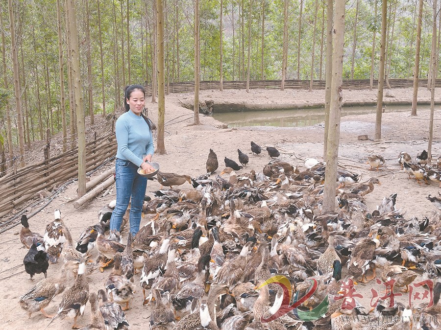龙头带动 草畜循环 多元特色  团田镇畜禽养殖产业稳步迈向规模化标准化
