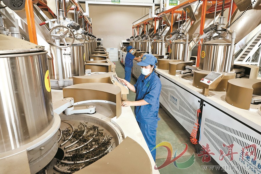普洱祖祥新茶饮原料生产线进入试生产阶段